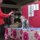 Ebisu la gata y su dueña Fumi Higaki